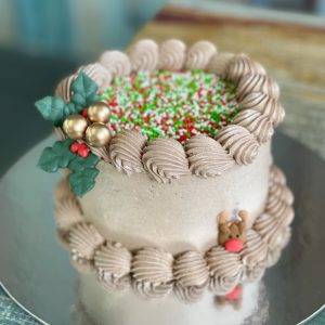 Choc Mini Christmas Cake