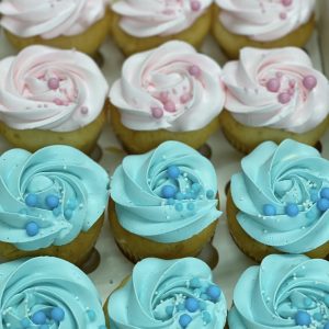 Gender Reveal Cupcakes Pink & Blue
